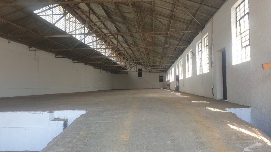 To Let Commercial Property for Rent in Salt River Western Cape